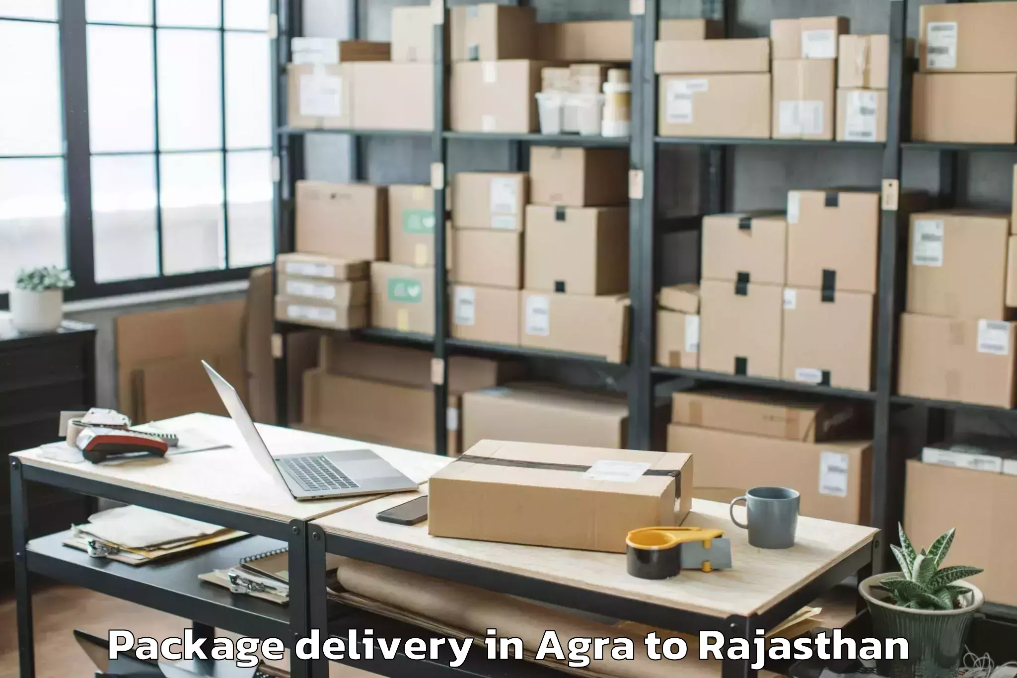 Hassle-Free Agra to Malsisar Package Delivery